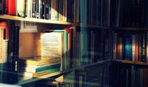 wanda webster biography basics