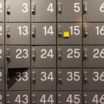 common challenges with 8667632906